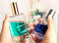 30ml/50ml/100ml perfume bottle/cosmetic bottle/metal glass bottle/portable design/customized logo/factory wholesale